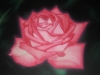rose-3